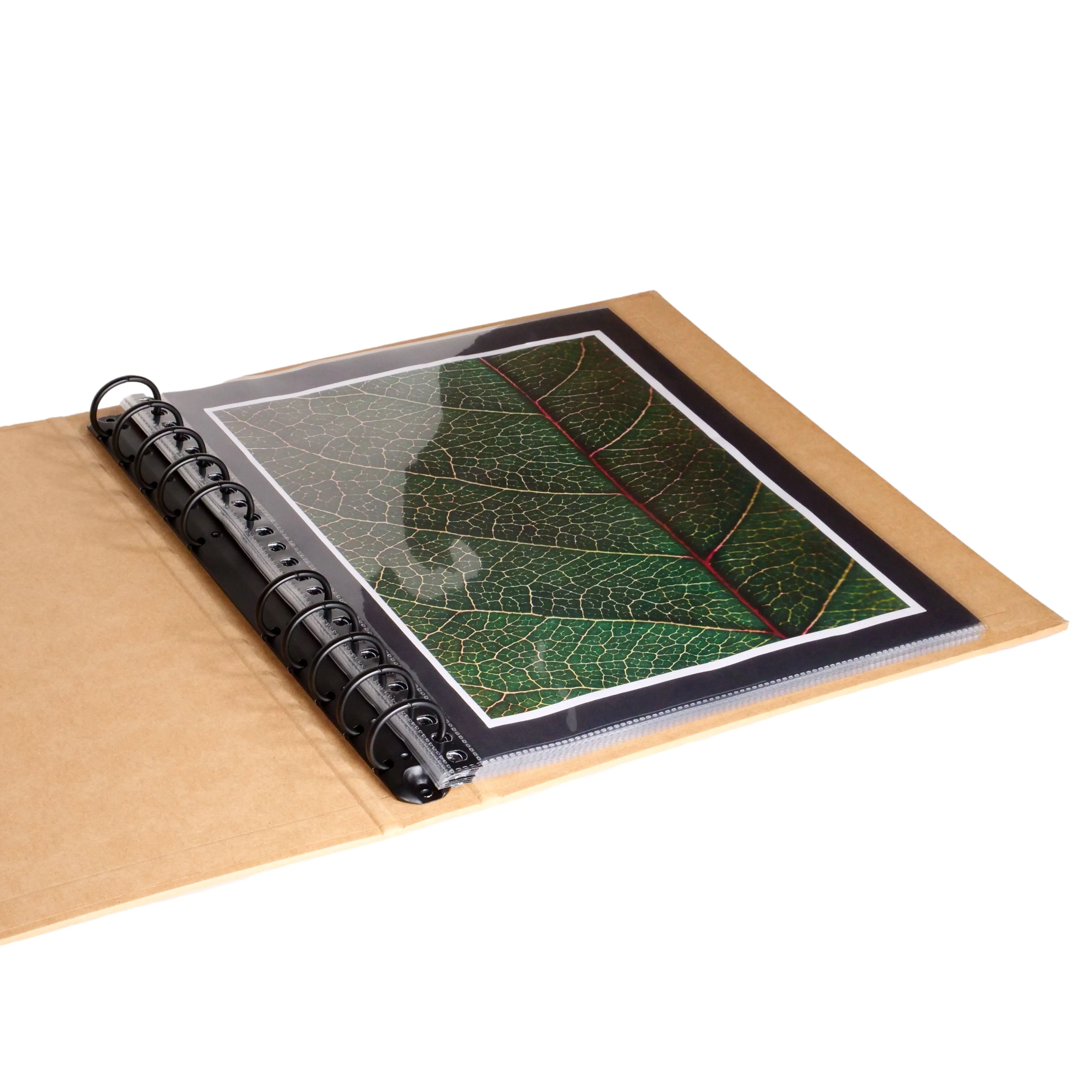 9.5" x 12.5" Recycled Paperboard Portfolio Book - Multiring Binder with 10 Archival Pages (Expandable to 30)
