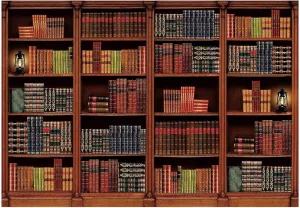 Allenjoy 7 x 5 FT Vintage Wooden Library Bookshelf Backdrop for Photography Picture Office Zoom Meeting Video Call Conference Graduation Party Supplies Decoration Photoshoot Photo Banner Background