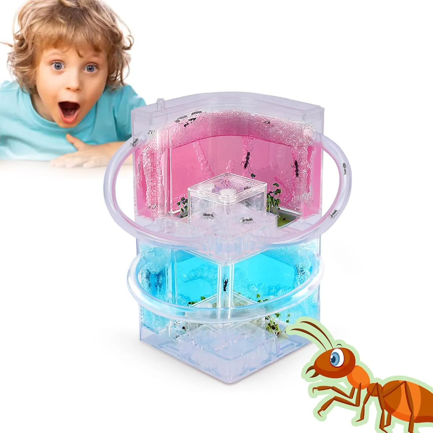 Ant Farm, Large 2 Layer Gel Ant Colony Ecosystem Formicarium Ant Terrarium, Ant Habitat Science Learning Kit with Large Viewing Area, Ant Farms for Kids and Adults, Gifts (Ant Not Included)