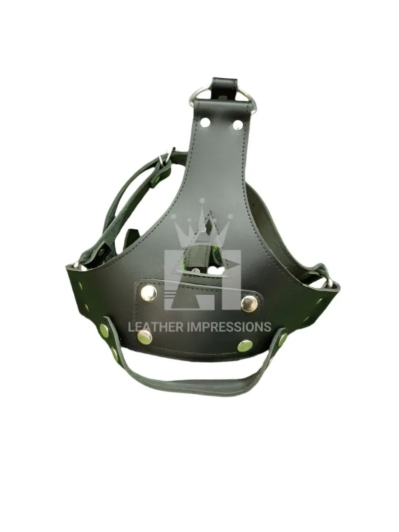 BDSM Muzzle With Gag