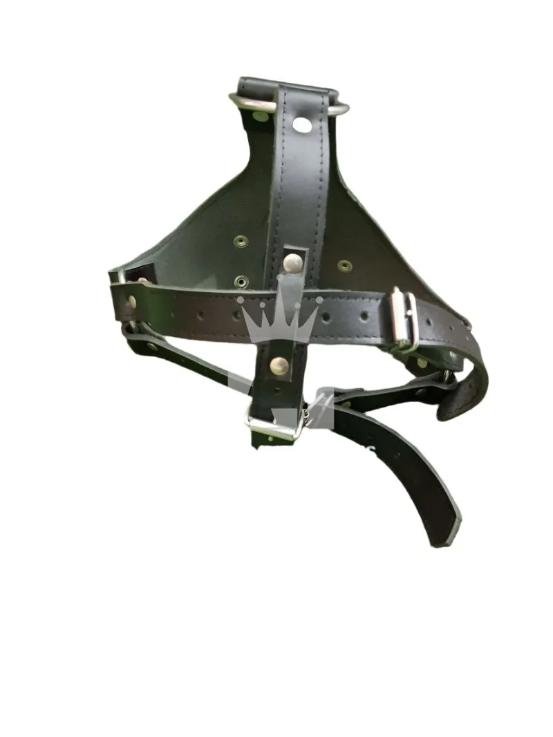 BDSM Muzzle With Gag