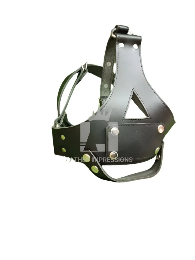 BDSM Muzzle With Gag