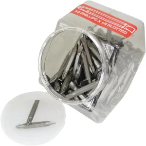 Best Way Tools #2 and 1/4 Phillips/Slotted Double Ended Screwdriver Bit 1/4 in. Dia. x 2 in. L 1