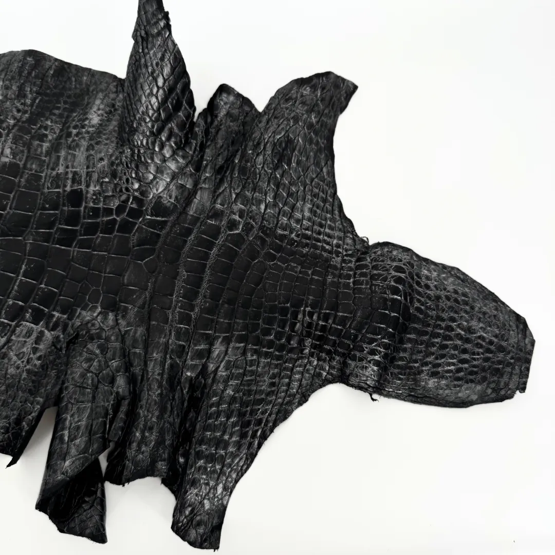Black and Silver Glazed Wild American Alligator | 37 cm