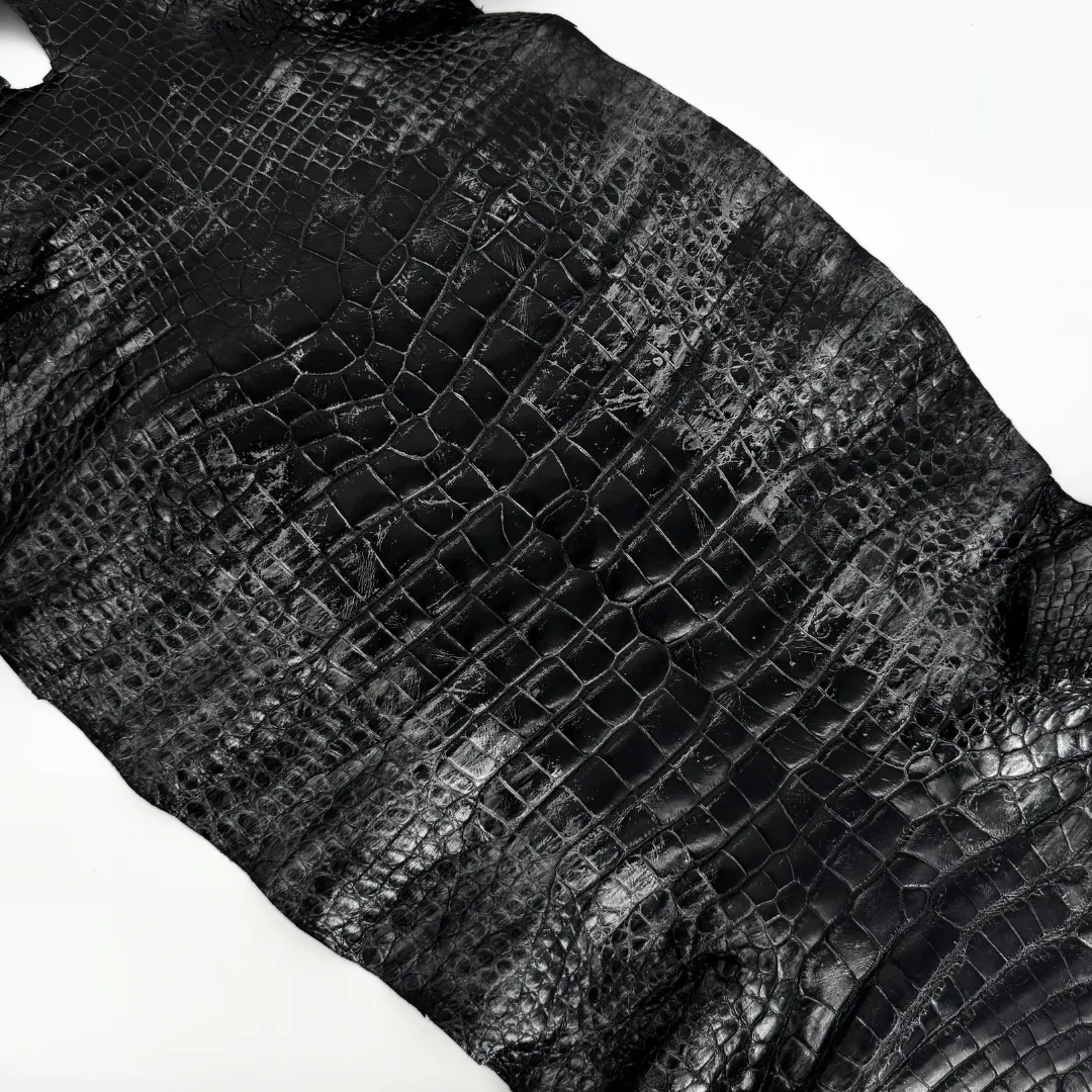 Black and Silver Glazed Wild American Alligator | 37 cm