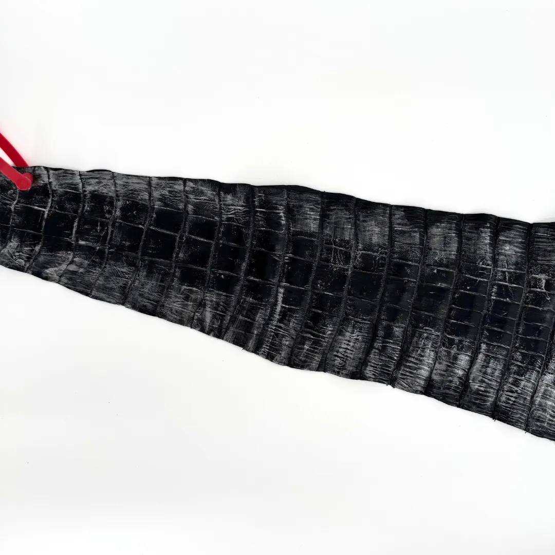Black and Silver Glazed Wild American Alligator | 37 cm