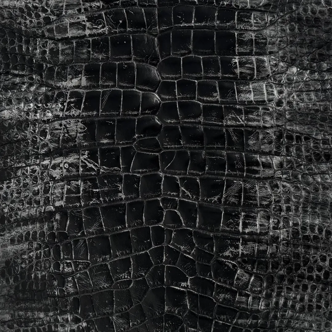 Black and Silver Glazed Wild American Alligator | 37 cm