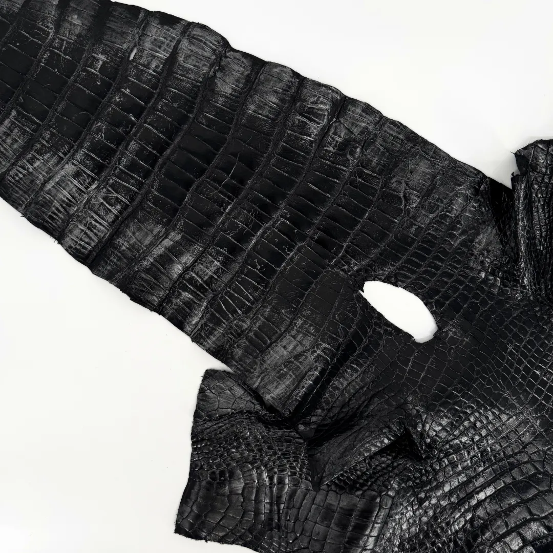 Black and Silver Glazed Wild American Alligator | 37 cm