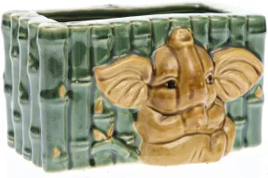 CBT Floral & Craft Lucky Bamboo Decorative Rectangular Elephant POT/PLANTER l Home Decoration New Year Gift l Assorted Color