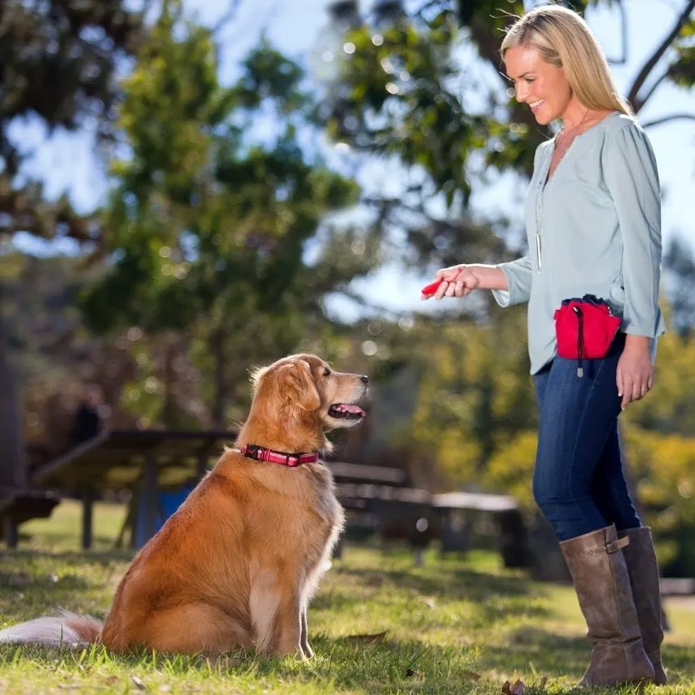 Company of Animals Treat Bag, Red, Zipped Pockets & Drawstring, Clips on Belt, Waistband or Pocket, Waterproof Treats Pouch, Ideal for Dog Walking & Puppy Training