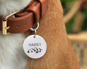 Dog Collar with Name Tag