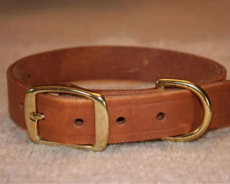 Dog Collar with Name Tag
