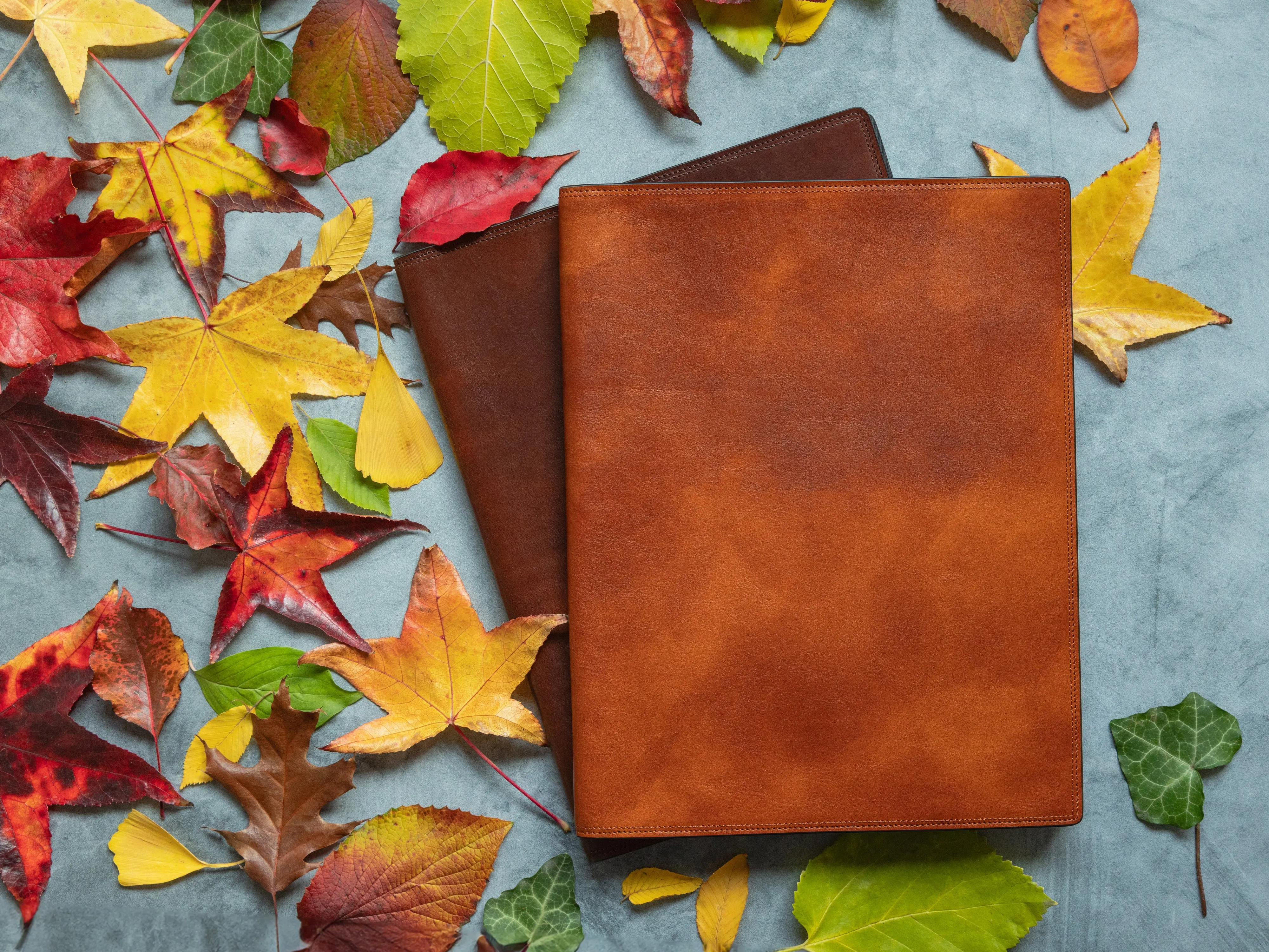 Dolce Soft Cover Portfolio