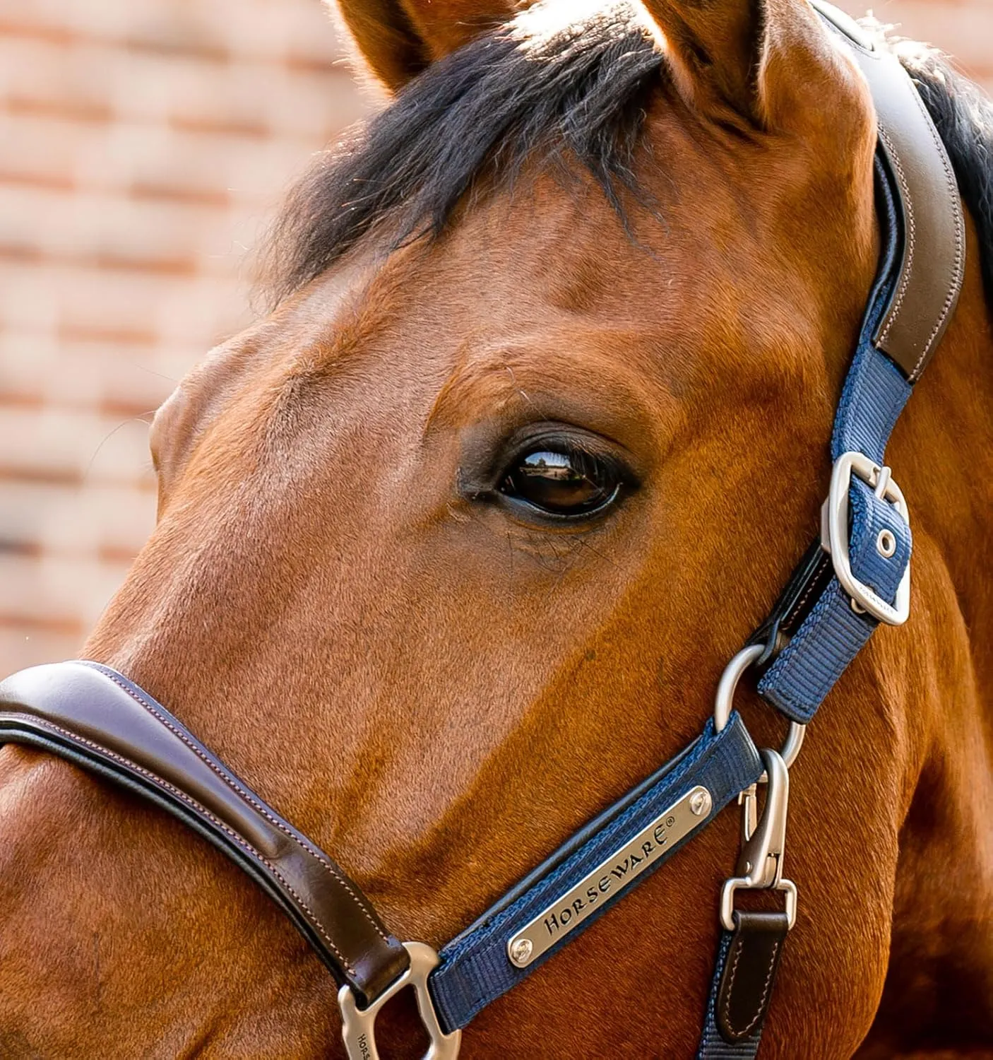 Horseware® Signature Competition Halter