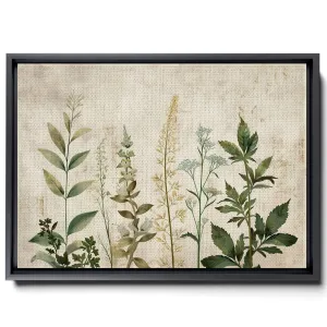 Leaf And Flower Illustration, In Light White And Light Indigo Style, Graflex Speed Graphics, Light Blue And Light Beige, Scientific Illustration, Canvas Prints