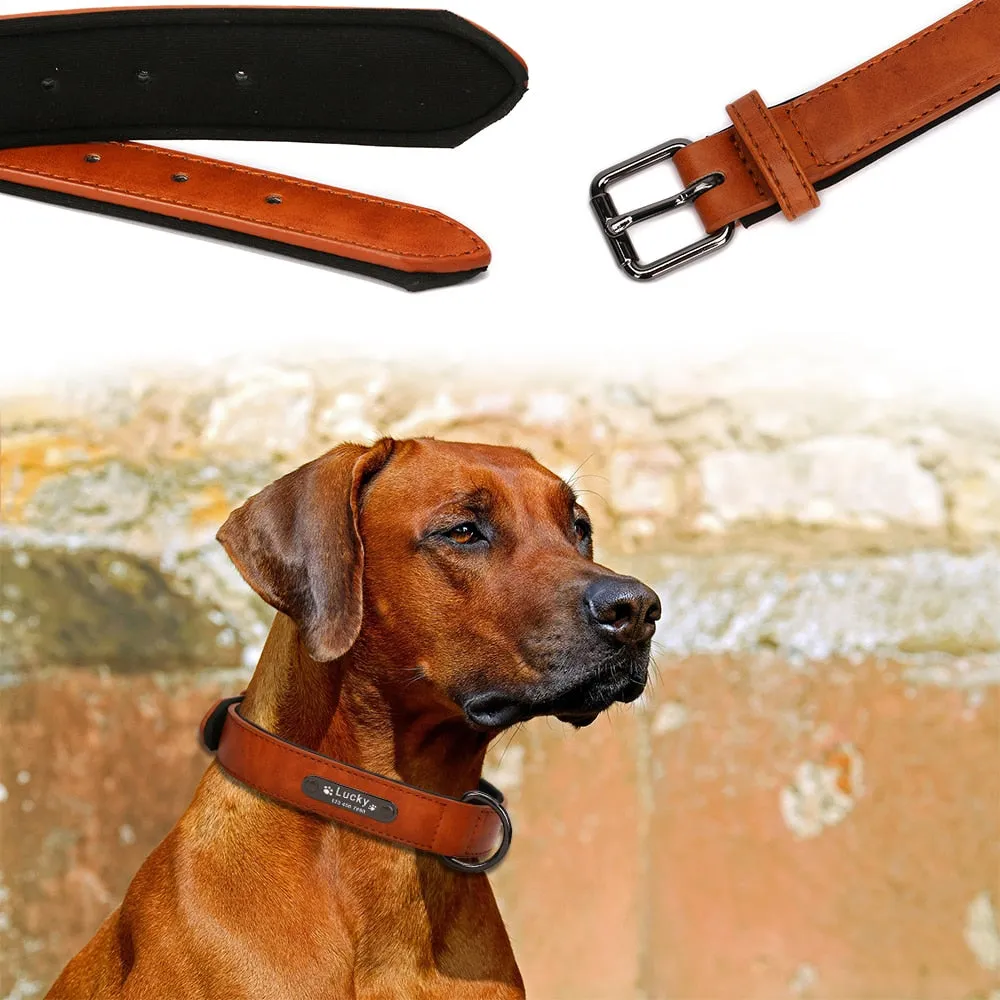 Leather Dog Collar with Personalised Name Tag ID and Lead