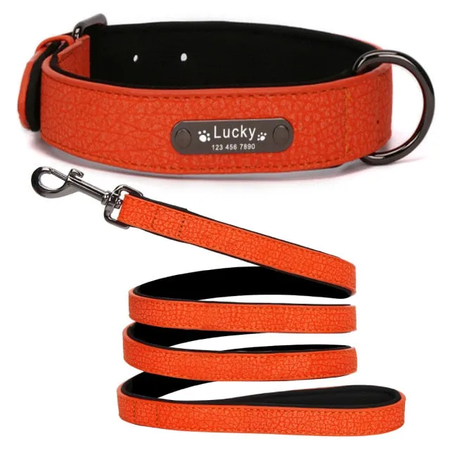 Leather Dog Collar with Personalised Name Tag ID and Lead