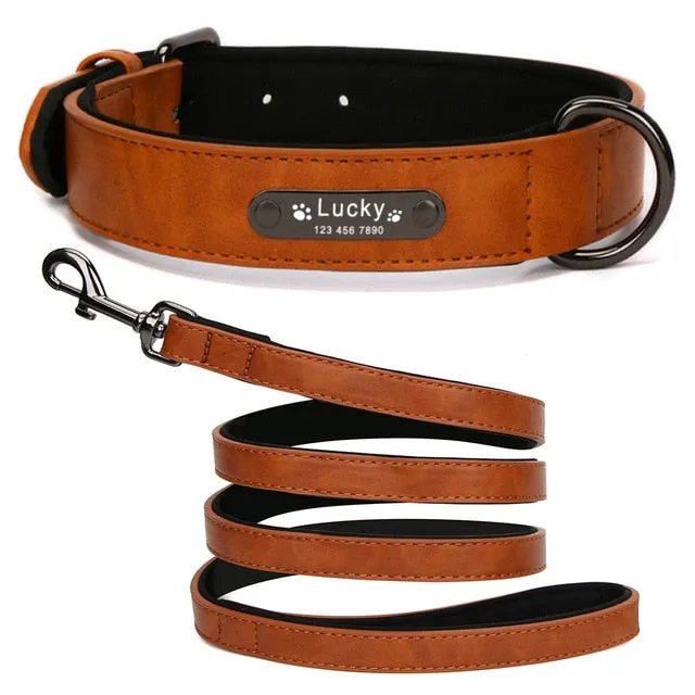 Leather Dog Collar with Personalised Name Tag ID and Lead