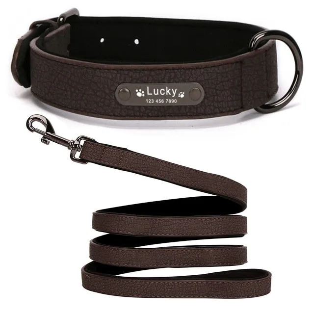 Leather Dog Collar with Personalised Name Tag ID and Lead