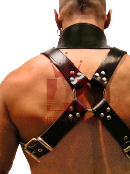 Leather Shoulder Harness
