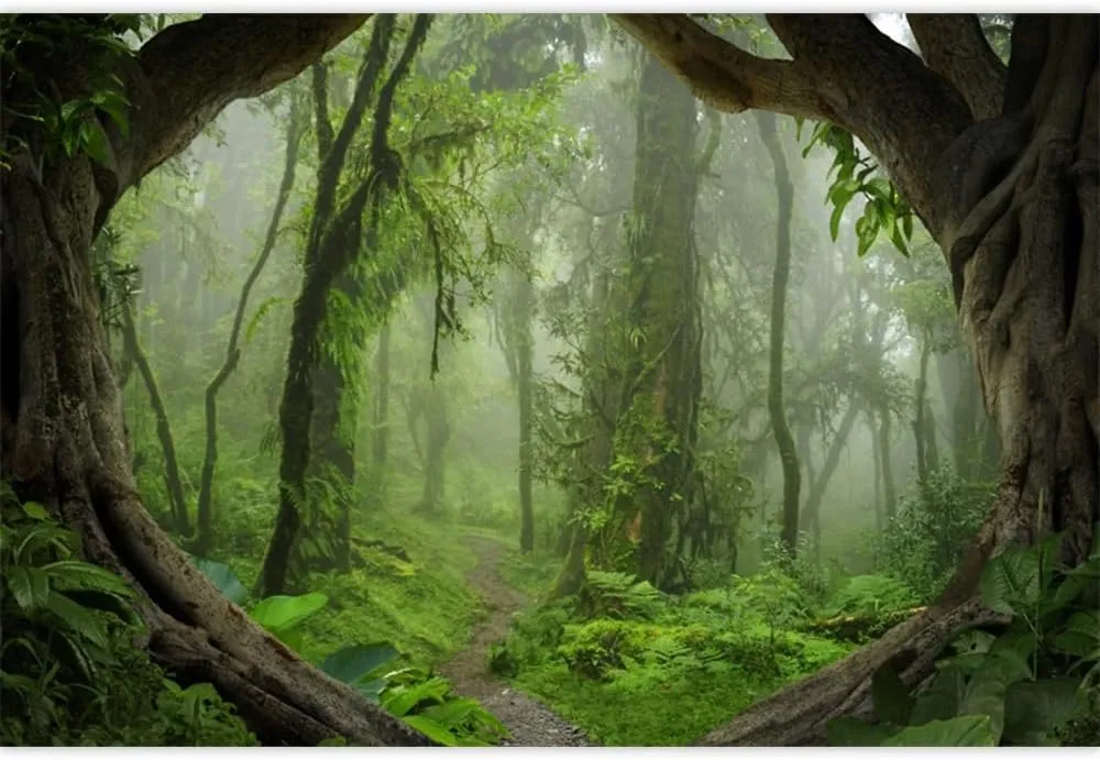Leowefowa 10x8ft Vinyl Green Forest Backdrop Fairytale Misty Deep Green Trees Pathway Background Tropical Jungle Rainforest Backdrops for Adventure Travel Picnic Camping Photo Studio Props