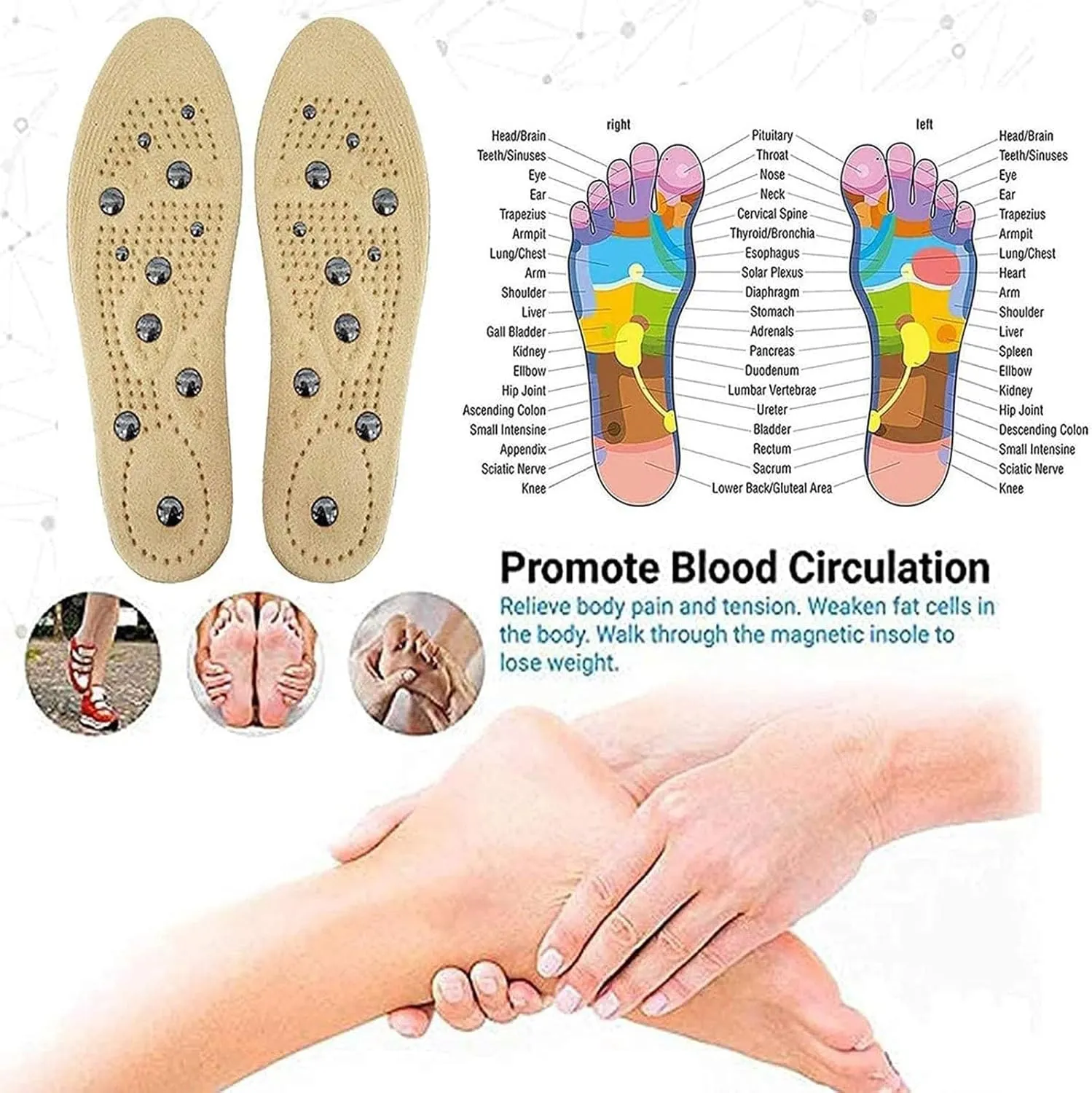 Magnetic Insoles, Therapy Massage Insoles, Pressure Point Reflexology Insole, Accupressure Insole Relieve Pain, Orthotic Shoe Insert for Men and Women,S,1 Pair