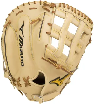 Mizuno Pro Baseball Glove Series