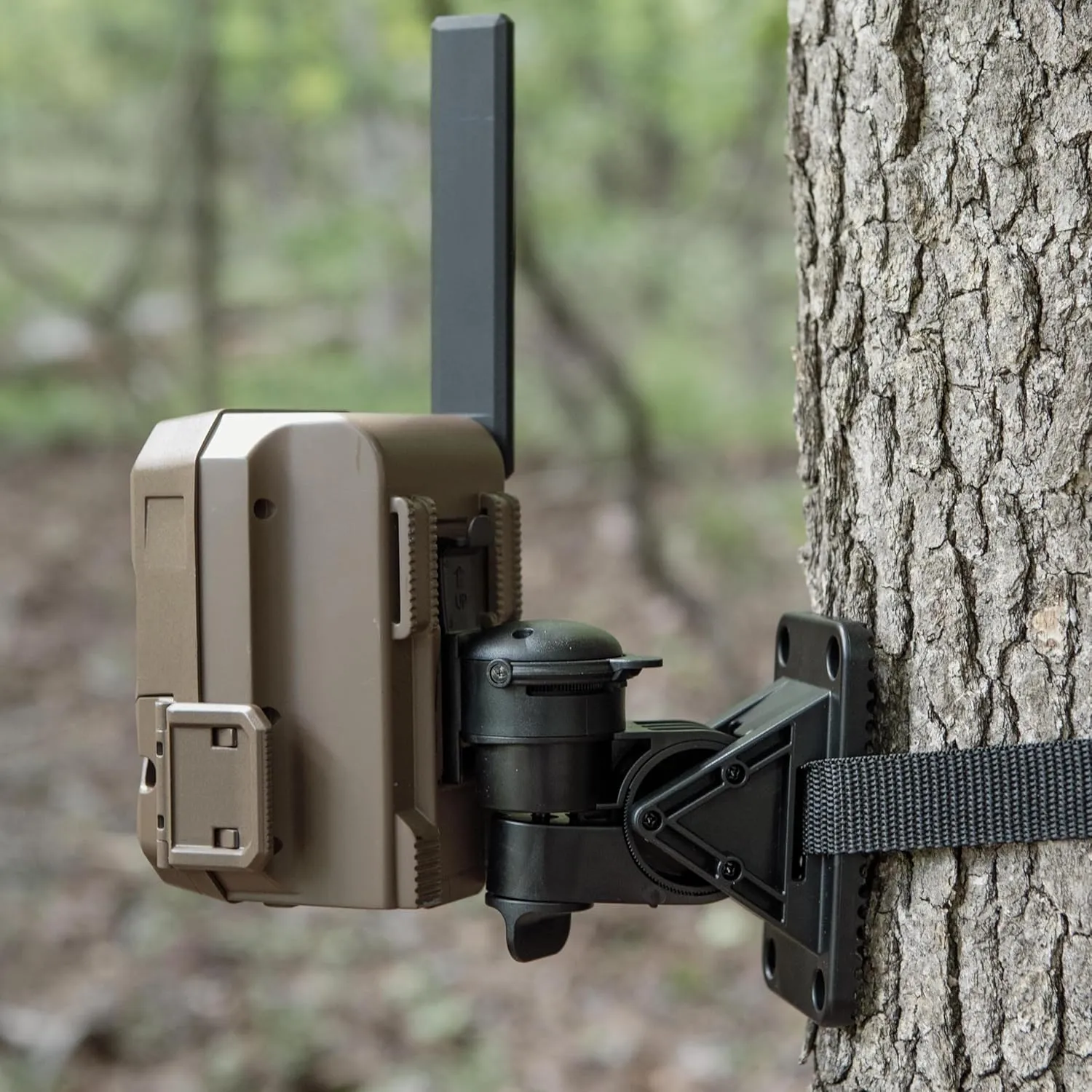 Moultrie Edge 2 Cellular Trail Camera - Auto Connect Nationwide 4G LTE - On Demand 36MP Photo - 1080P Video with HD Audio - 100 Ft Detection Range - Low Glow Flash