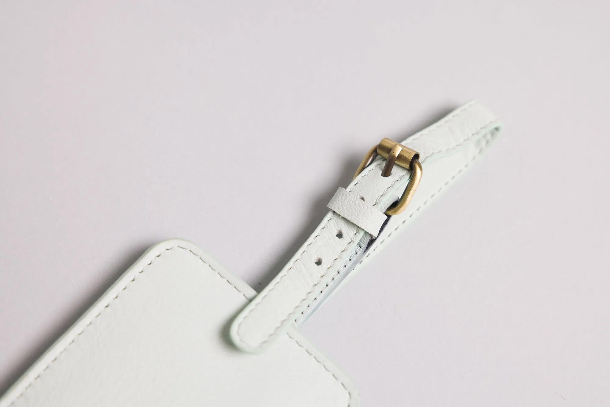 Personalised Engraved Mint Leather Luggage Tag