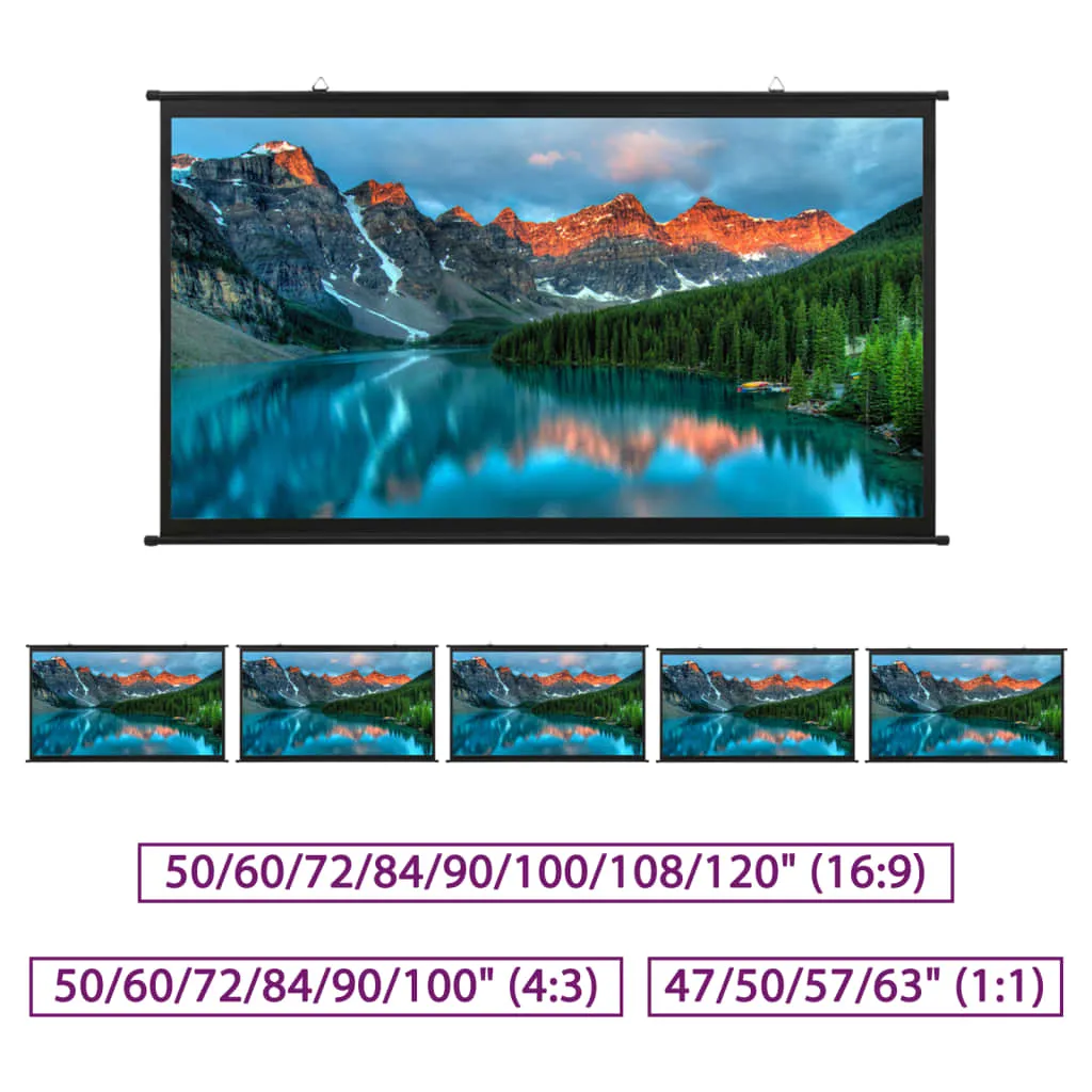 Projection Screen Home Theater Screen Pull-down Projector Screen 16:9