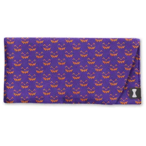 Pumpkinhead - Eyeglass Cases