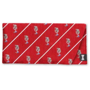 Republican Red - Eyeglass Cases