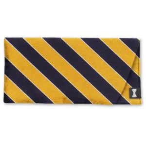 Scholastic Navy/Gold - Eyeglass Cases