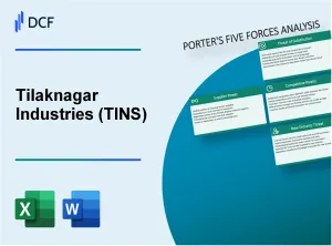Tilaknagar Industries Ltd. (TI.NS): Porter's 5 Forces Analysis