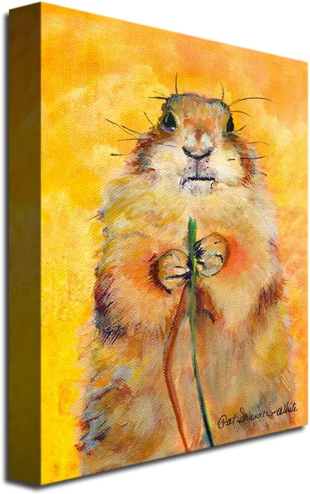 Trademark Art Target Canvas Art by Pat Saunders White, 14 by 19-Inch