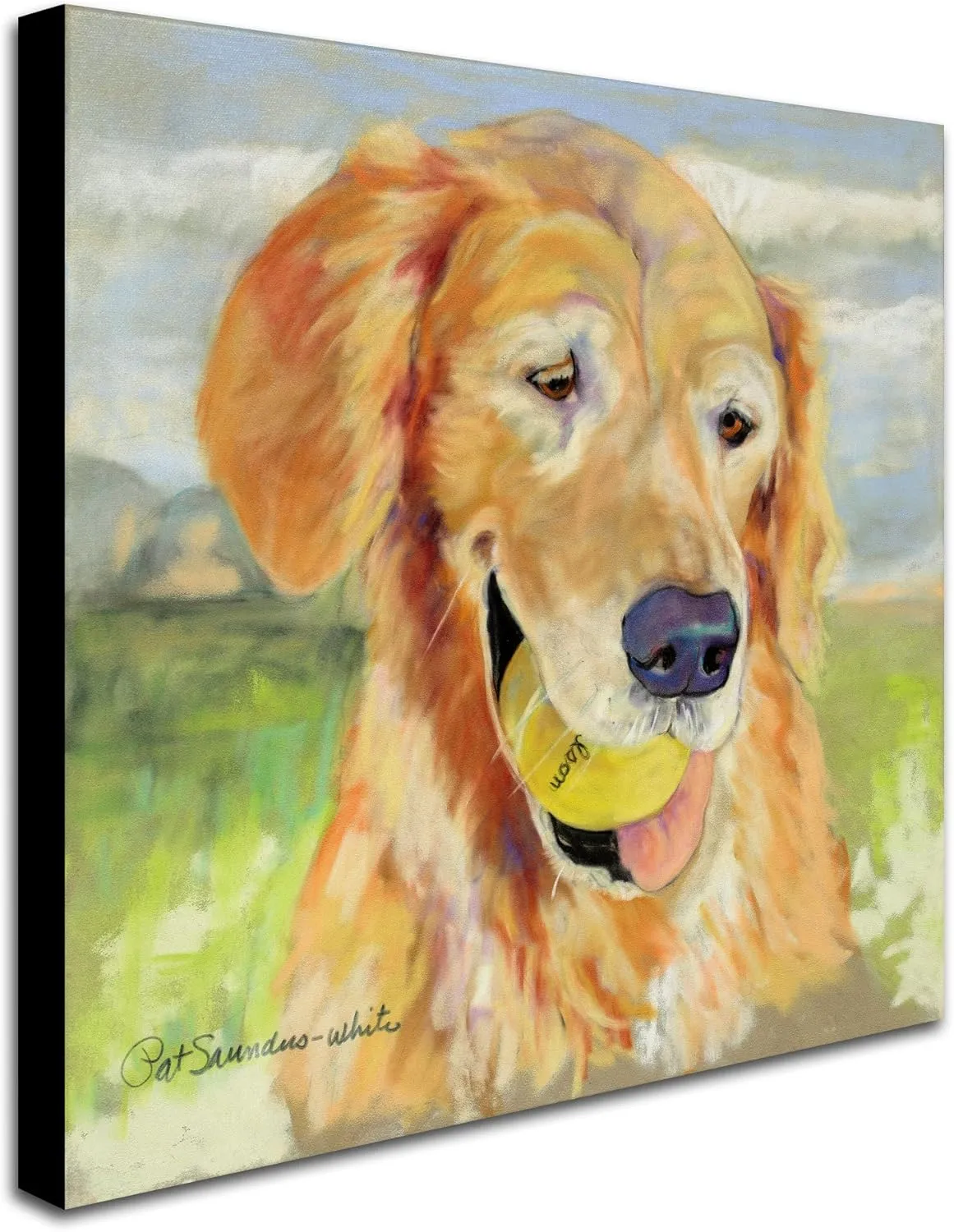 Trademark Fine Art Gus Canvas Wall Art by Pat Saunders, 24 by 24-Inch