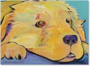 Trademark Fine Art PS145-C1824GG Baby by Pat Saunders-White, 18x24-Inch, 18x24