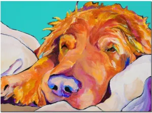 Trademark Fine Art Snoozer King by Pat Saunders-White Canvas Artwork with Wooden Frame, 18 by 24-Inch
