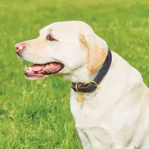 Weatherbeeta Leather Plaited Brown/Navy Dog Collar